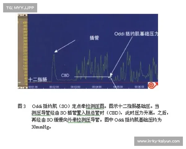 运动员生理监测云平稳运行 科学辅助医疗组远程干预